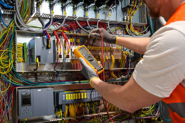 Best Electrical System Inspection  in Zeigler, IL